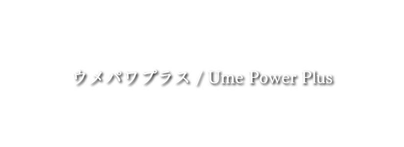 タイトル