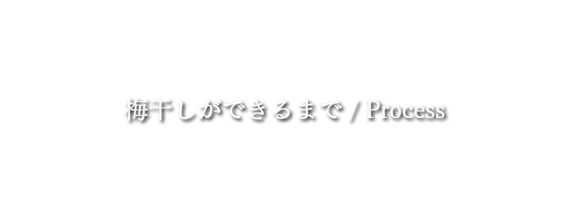 タイトル