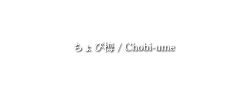 タイトル