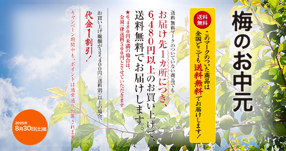 梅のお中元